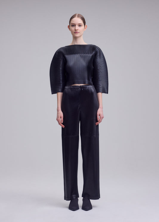 GLOSSED PANELS PLEATS、ウィメンズ_トップス_トップ、着用画像1