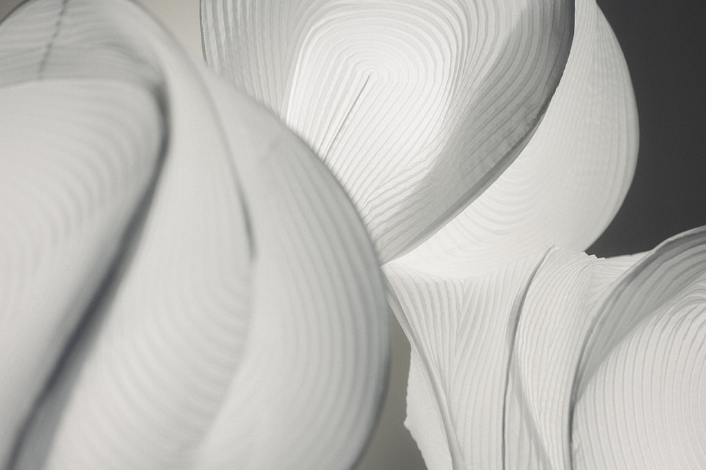 “Shaping the Future with Light”