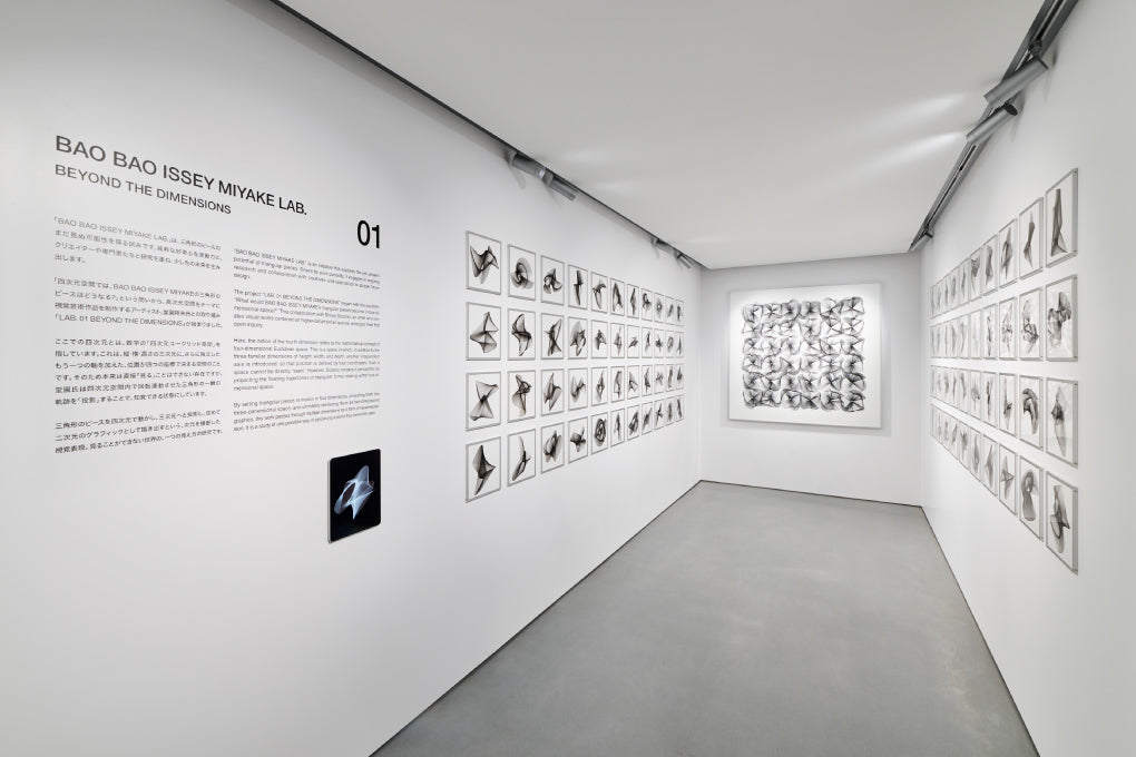 LAB. 01 BEYOND THE DIMENSIONS