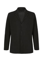 TAILORED PLEATS 2