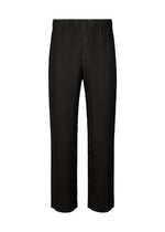 TAILORED PLEATS 2