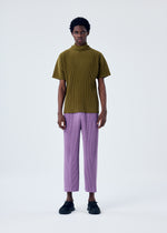 COLOR PLEATS、メンズ_トップス_トップ、着用画像1