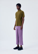 COLOR PLEATS、メンズ_トップス_トップ、着用画像2