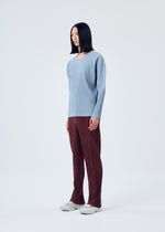 COLOR PLEATS、メンズ_トップス_トップ、着用画像2