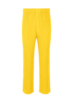 COLOR PLEATS、メンズ_パンツ、イエロー