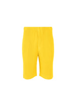 COLOR PLEATS、メンズ_パンツ、イエロー