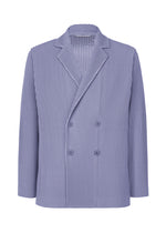 TAILORED PLEATS 1