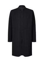 TAILORED PLEATS 1