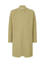 TAILORED PLEATS 1