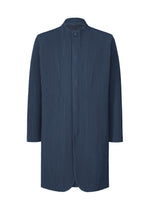 TAILORED PLEATS 1