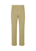 TAILORED PLEATS 1