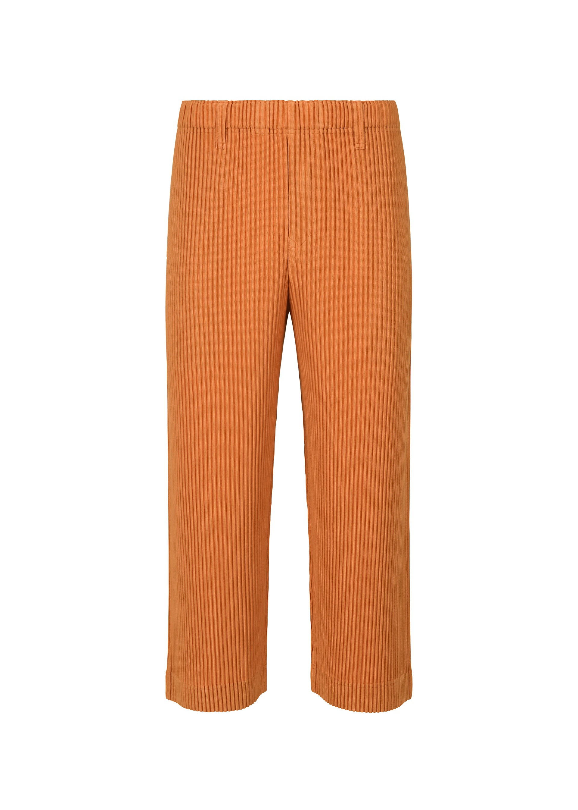 TAILORED PLEATS 2、メンズ_パンツ、ブラウン