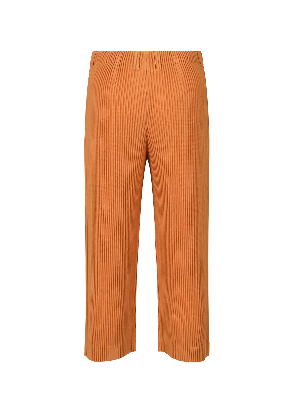 TAILORED PLEATS 2、メンズ_パンツ、ディテール画像1