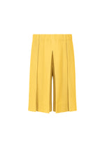TAILORED PLEATS 2、メンズ_パンツ、イエロー