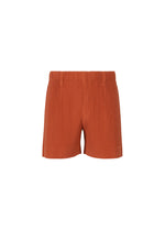 TAILORED PLEATS 3