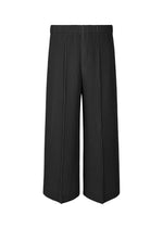 PLEATS BOTTOMS 2