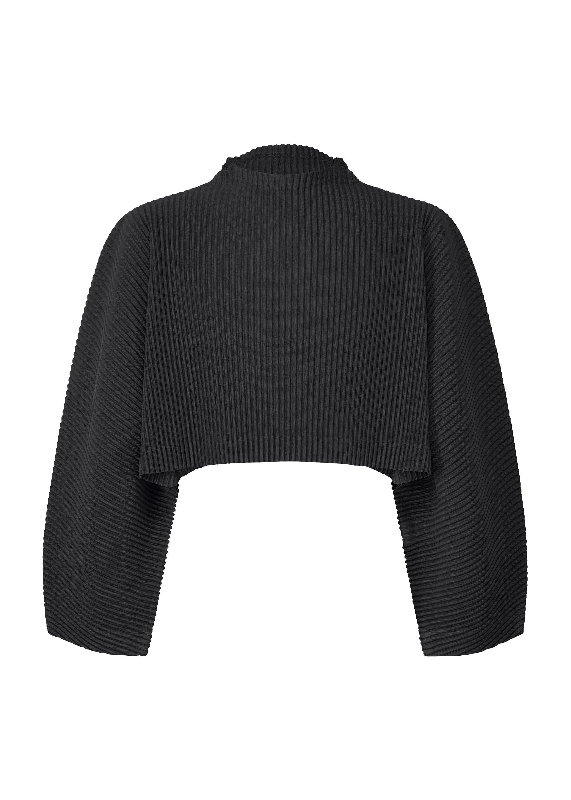 COLOR PLEATS 1、メンズ_トップス_トップ、ブラック