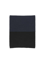 WINTER GEAR : COLOR BLOCK、メンズ_ニット、ネイビー