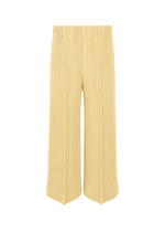 KERSEY PLEATS、メンズ_パンツ、イエロー