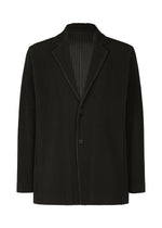 TAILORED PLEATS 1