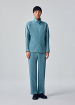 COLOR PLEATS 2、メンズ_パンツ、着用画像1