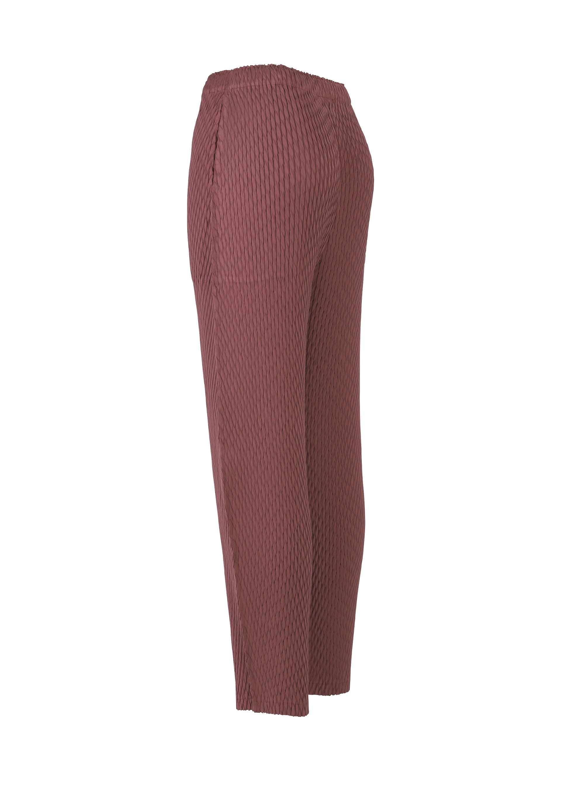 SLEEK PLEATS、ウィメンズ_パンツ、ディテール画像2