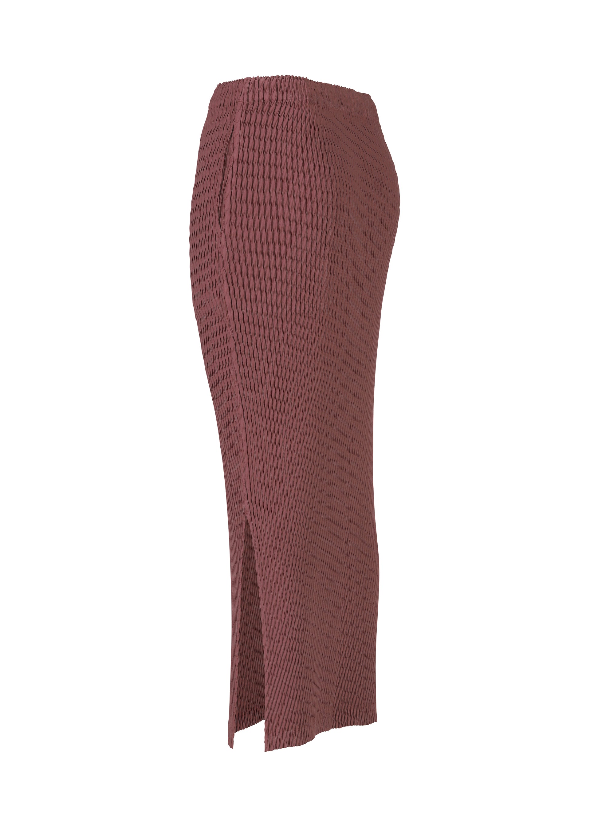 SLEEK PLEATS、ウィメンズ_スカート、ディテール画像2