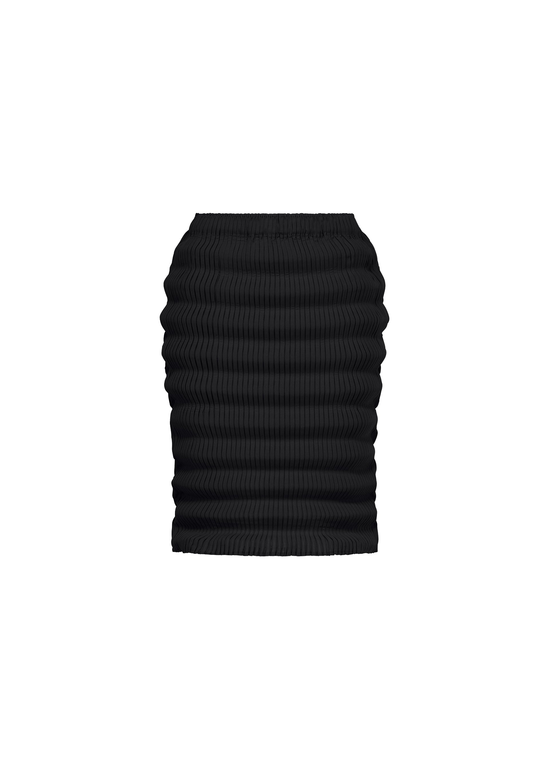 SPRING PLEATS、ウィメンズ_スカート、ブラック