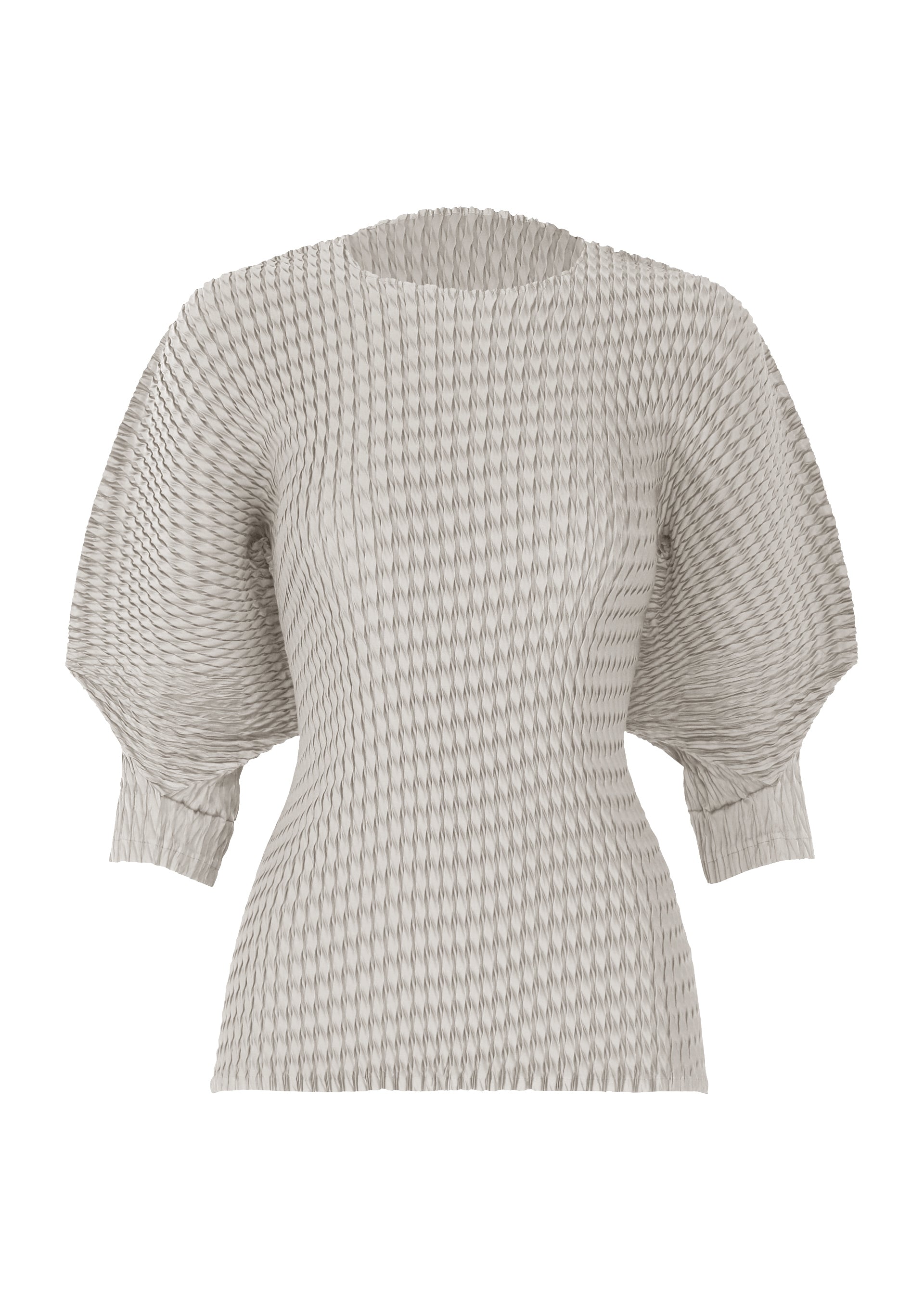 SLEEK PLEATS、ウィメンズ_トップス_トップ、グレー