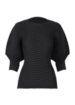 SLEEK PLEATS、ウィメンズ_トップス_トップ、ブラック