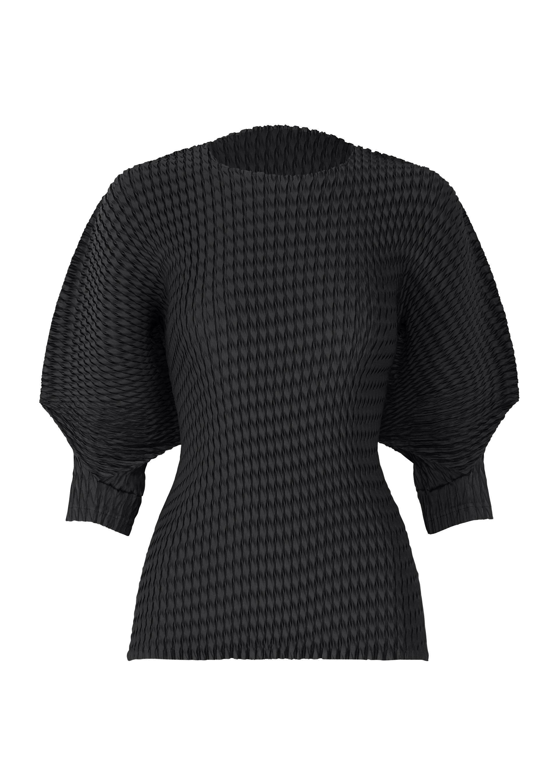 SLEEK PLEATS、ウィメンズ_トップス_トップ、ブラック
