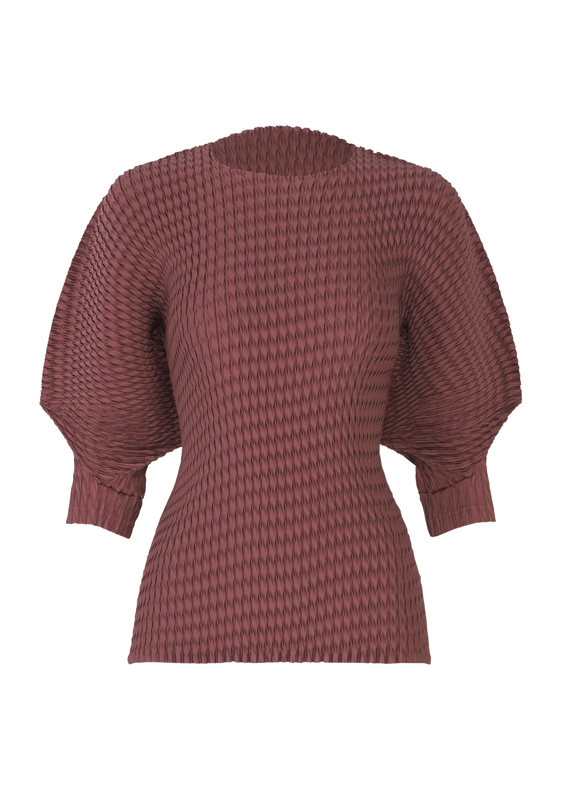 SLEEK PLEATS、ウィメンズ_トップス_トップ、パープル