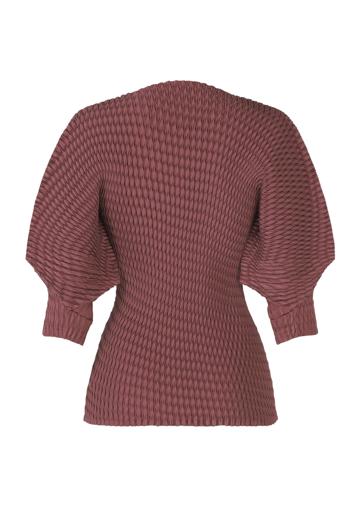 SLEEK PLEATS、ウィメンズ_トップス_トップ、ディテール画像1