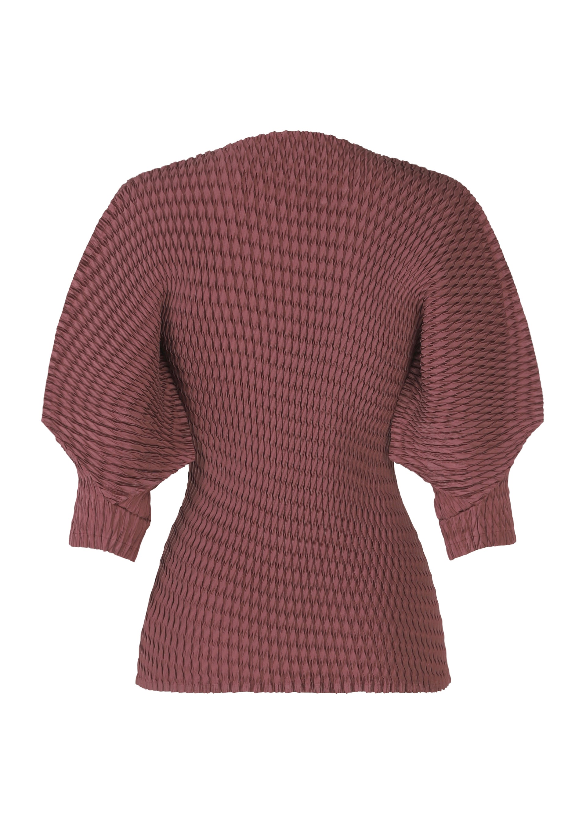 SLEEK PLEATS、ウィメンズ_トップス_トップ、ディテール画像1