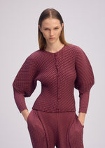 SLEEK PLEATS、ウィメンズ_トップス_カーディガン、着用画像3