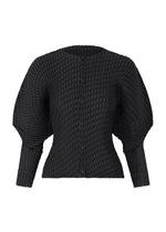 SLEEK PLEATS、ウィメンズ_トップス_カーディガン、ブラック
