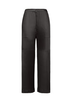 GLOSSED PANELS PLEATS、ウィメンズ_パンツ、ブラック