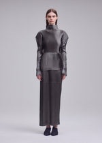 GLOSSED PANELS PLEATS、ウィメンズ_スカート、着用画像1