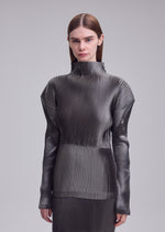 GLOSSED PANELS PLEATS、ウィメンズ_トップス_トップ、着用画像3