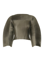 GLOSSED PANELS PLEATS