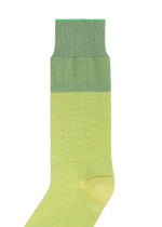 GRADATION SOCKS、アクセサリー&その他_レッグウェア&シューズ、ディテール画像1