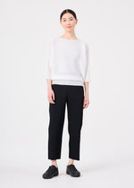 DOLMAN STRETCH PLEATS、ウィメンズ_トップス_トップ、着用画像3