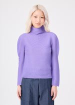 STRETCH PLEATS 3、ウィメンズ_トップス_トップ、着用画像1