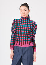 TAPE CHECK、ウィメンズ_トップス_トップ、着用画像1