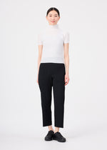 STRETCH PLEATS、ウィメンズ_トップス_トップ、着用画像3