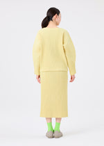 CORDUROY PLEATS、ウィメンズ_スカート、着用画像2