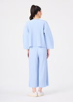 MESH PLEATS、ウィメンズ_パンツ、着用画像2