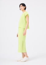 MESH PLEATS、ウィメンズ_スカート、着用画像3