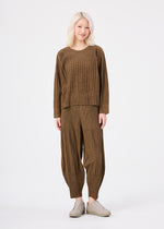 MIX FINE KNIT PLEATS、ウィメンズ_トップス_トップ、着用画像3