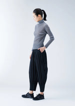RIB PLEATS BASICS、ウィメンズ_トップス_トップ、着用画像2